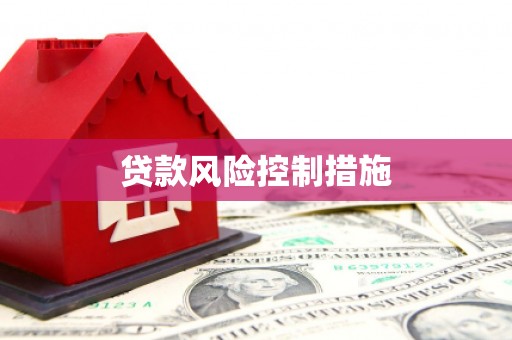 色达贷款风险控制措施