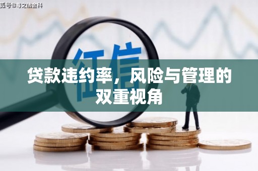色达贷款违约率，风险与管理的双重视角