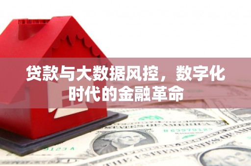 色达贷款与大数据风控，数字化时代的金融革命