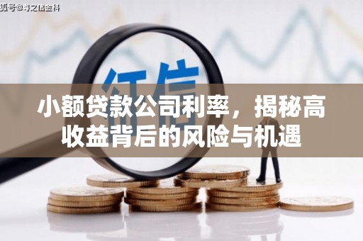色达小额贷款公司利率，揭秘高收益背后的风险与机遇