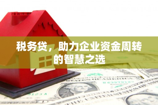 色达税务贷，助力企业资金周转的智慧之选