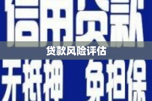 色达贷款风险评估
