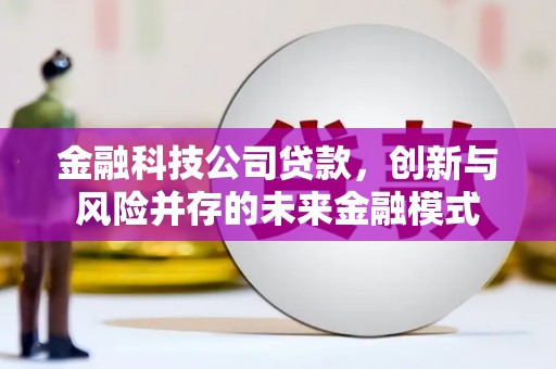色达金融科技公司贷款，创新与风险并存的未来金融模式