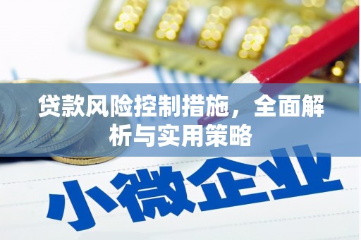 色达贷款风险控制措施，全面解析与实用策略