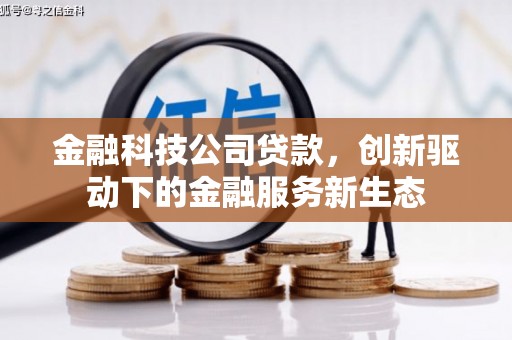 色达金融科技公司贷款，创新驱动下的金融服务新生态