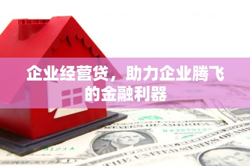 色达企业经营贷，助力企业腾飞的金融利器