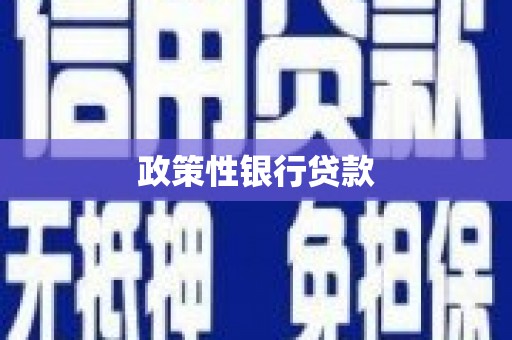 色达政策性银行贷款