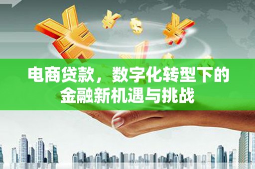 色达电商贷款，数字化转型下的金融新机遇与挑战