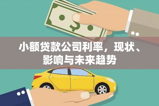 色达小额贷款公司利率，现状、影响与未来趋势