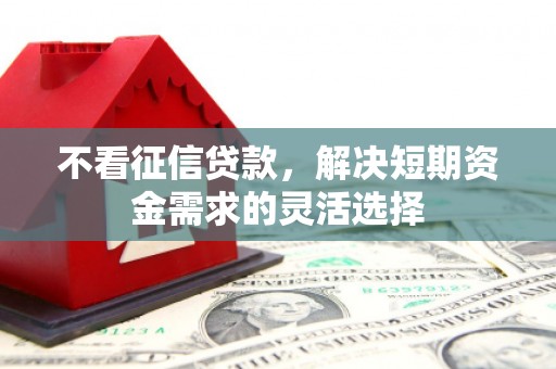 色达不看征信贷款，解决短期资金需求的灵活选择