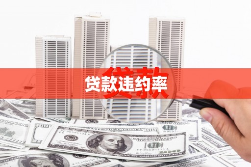 色达贷款违约率