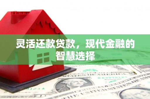 色达灵活还款贷款，现代金融的智慧选择