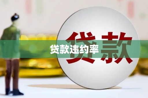 色达贷款违约率