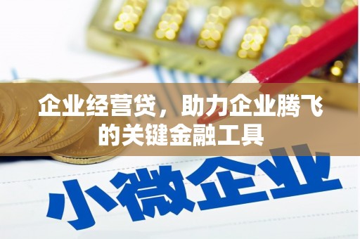 色达企业经营贷，助力企业腾飞的关键金融工具