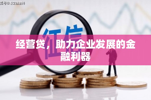 色达经营贷，助力企业发展的金融利器