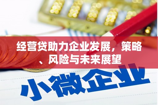 色达经营贷助力企业发展，策略、风险与未来展望