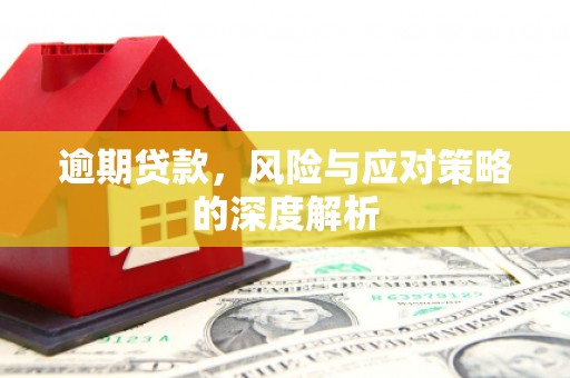 色达逾期贷款，风险与应对策略的深度解析