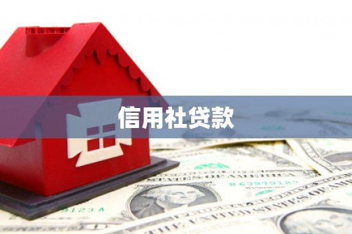 色达信用社贷款