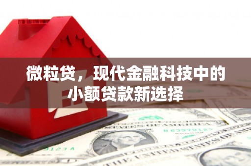 色达微粒贷，现代金融科技中的小额贷款新选择