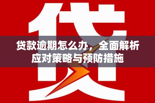 色达贷款逾期怎么办，全面解析应对策略与预防措施