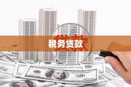 色达税务贷款