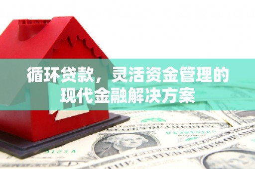色达循环贷款，灵活资金管理的现代金融解决方案