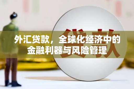 色达外汇贷款，全球化经济中的金融利器与风险管理