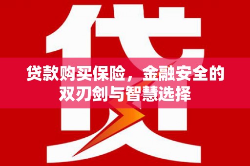 色达贷款购买保险，金融安全的双刃剑与智慧选择