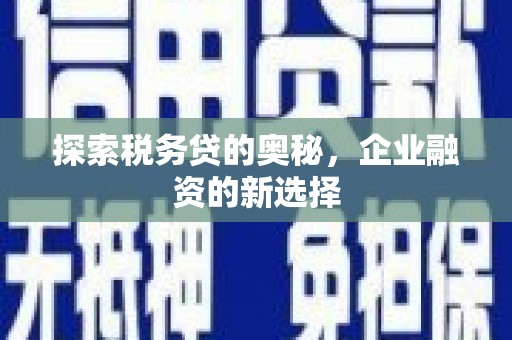 色达探索税务贷的奥秘，企业融资的新选择