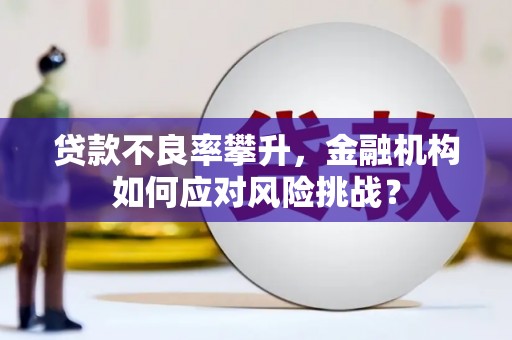 色达贷款不良率攀升，金融机构如何应对风险挑战？