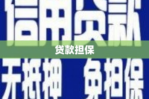色达贷款担保