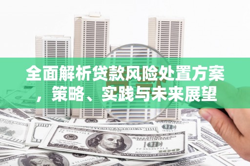 色达全面解析贷款风险处置方案，策略、实践与未来展望