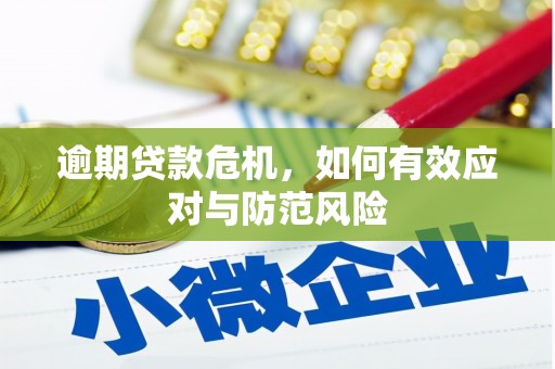 色达逾期贷款危机，如何有效应对与防范风险
