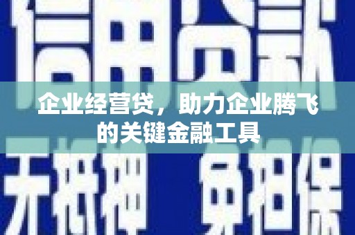 色达企业经营贷，助力企业腾飞的关键金融工具
