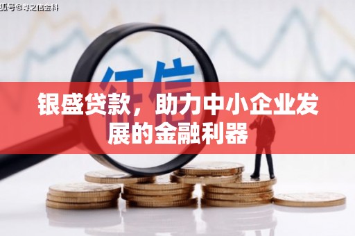 色达银盛贷款，助力中小企业发展的金融利器