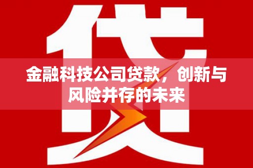 色达金融科技公司贷款，创新与风险并存的未来
