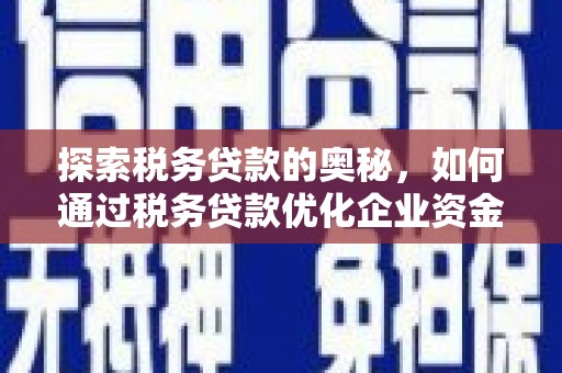 色达探索税务贷款的奥秘，如何通过税务贷款优化企业资金流