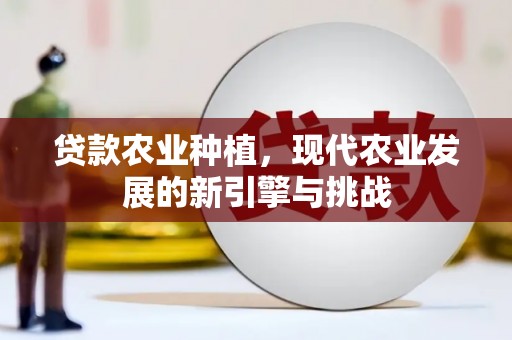 色达贷款农业种植，现代农业发展的新引擎与挑战