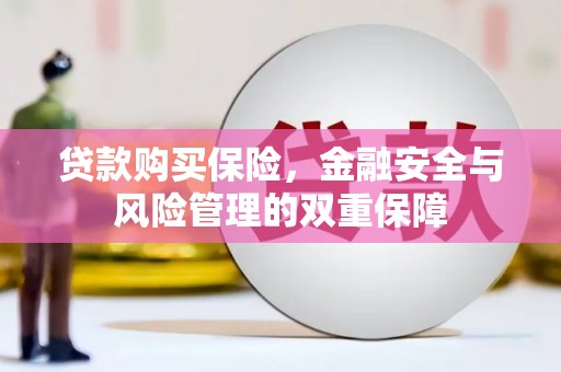色达贷款购买保险，金融安全与风险管理的双重保障