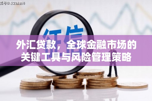 色达外汇贷款，全球金融市场的关键工具与风险管理策略