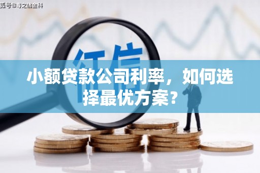 色达小额贷款公司利率，如何选择最优方案？