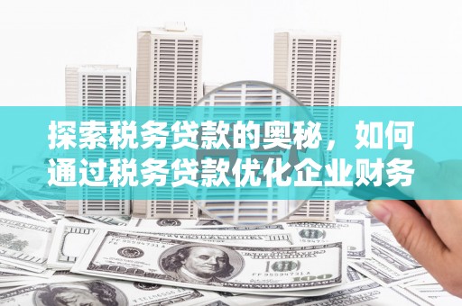 色达探索税务贷款的奥秘，如何通过税务贷款优化企业财务