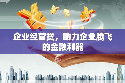色达企业经营贷，助力企业腾飞的金融利器