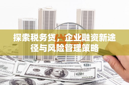 色达探索税务贷，企业融资新途径与风险管理策略