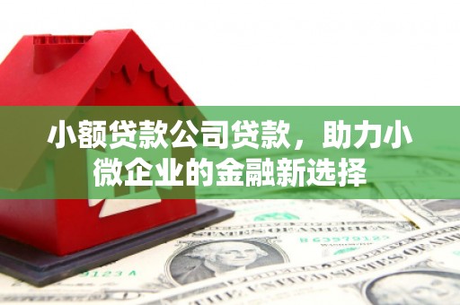 色达小额贷款公司贷款，助力小微企业的金融新选择