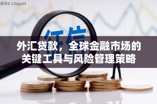 色达外汇贷款，全球金融市场的关键工具与风险管理策略