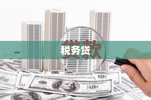 色达税务贷