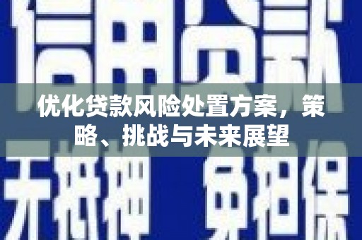 色达优化贷款风险处置方案，策略、挑战与未来展望