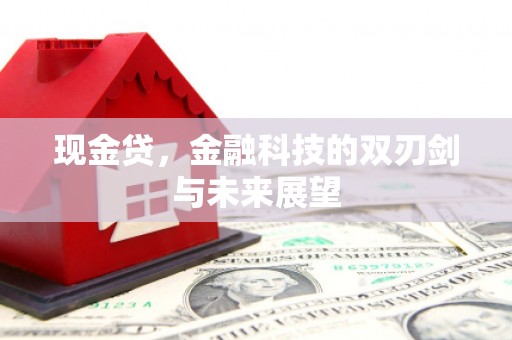 色达现金贷，金融科技的双刃剑与未来展望