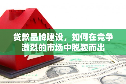 色达贷款品牌建设，如何在竞争激烈的市场中脱颖而出